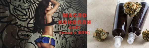 шишки Бородино