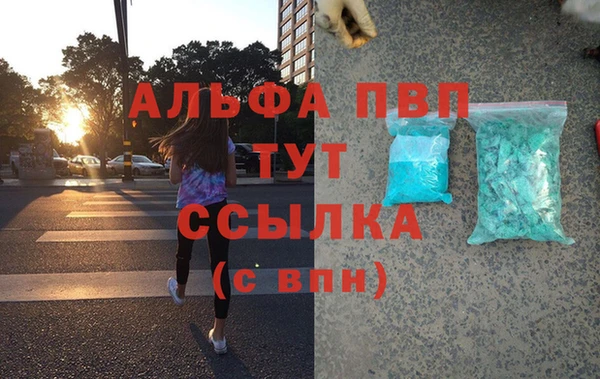 шишки Бородино