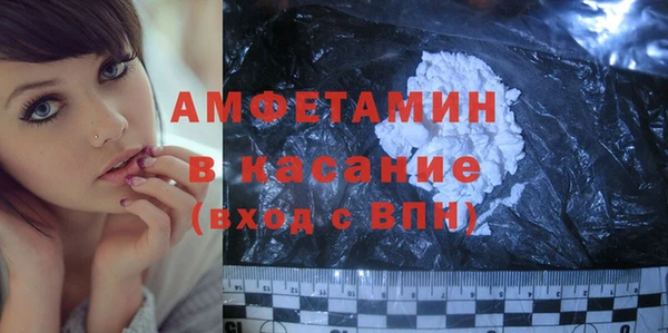 шишки Бородино