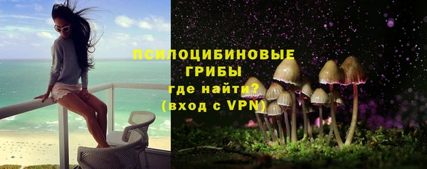 молекула духа Бронницы