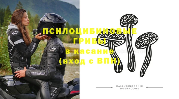 шишки Бородино