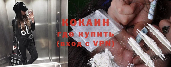 шишки Бородино