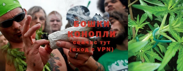 молекула духа Бронницы