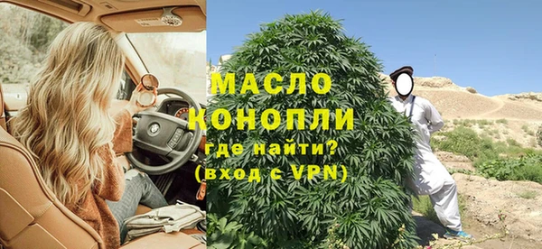 шишки Бородино