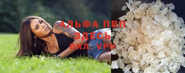 шишки Бородино