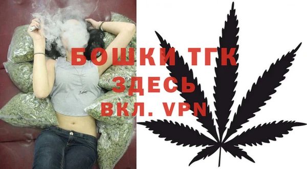 шишки Бородино